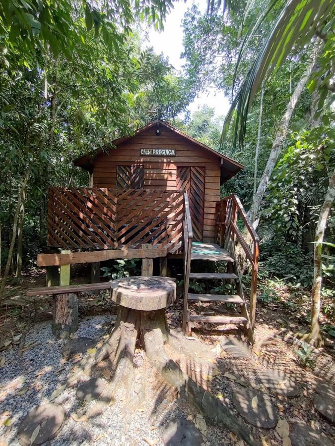 Hotel Refugio Samauma Manaus Exterior foto